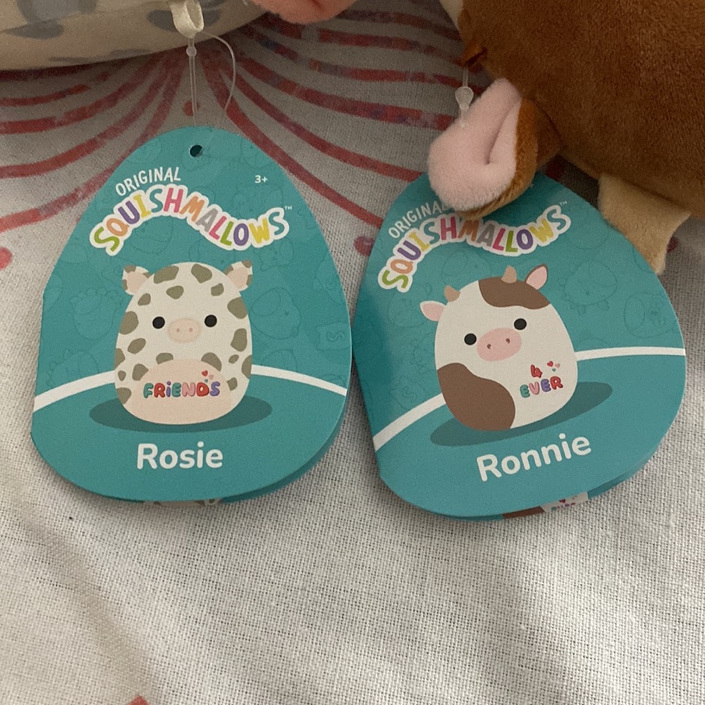 Squishmallows Ronnie and Rosie best friends - Picture 5 of 8